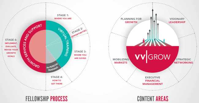 VV GROW Fellowship Process & Content Areas 