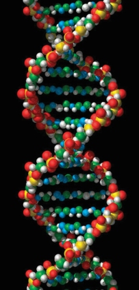 DNA, NextBillion Health Care
