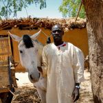 Healthy Animals Make a Healthier World: How Expanding Animal Care Can Advance the SDGs and Support Farmers in Sub-Saharan Africa