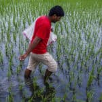 Scaling Climate Finance for Smallholder Agriculture: Lessons Learned from Partnering with Farmer-Allied Businesses