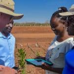 Building a Better AgTech Funding Model in Africa: Three Key Challenges Behind the Ecosystem’s Loss of Momentum