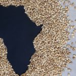 Africa Needs Jobs — the Agri-Food Industry Can Provide Them: How the Sector Can Boost its Impact on Employment Across the Continent