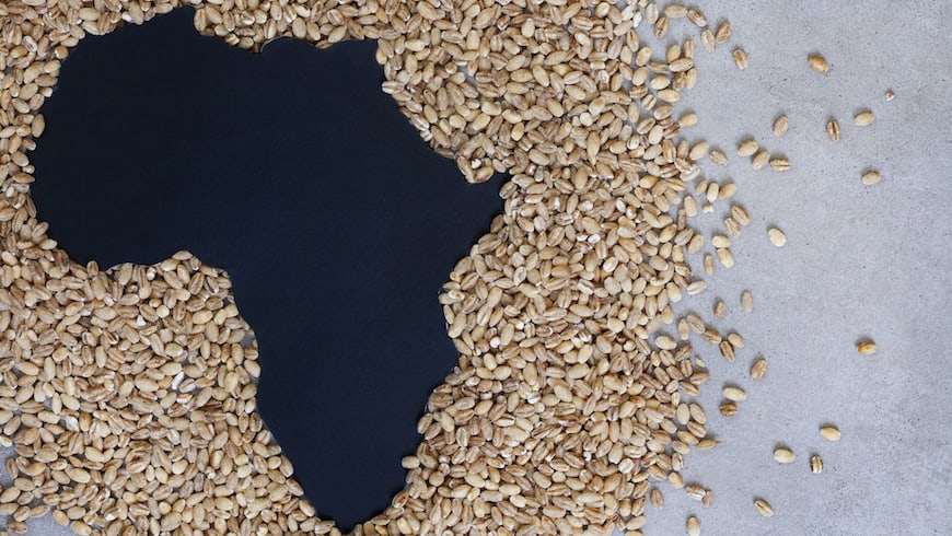 Image of Africa created from grain