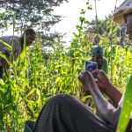 Storytelling for Velocity, Not Visibility: Why African Development Organizations Need a New Communications Playbook