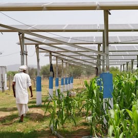Agri-PV plant in India