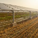 Farming Under Solar: How Agriphotovoltaics Can Transform Rural Livelihoods in India