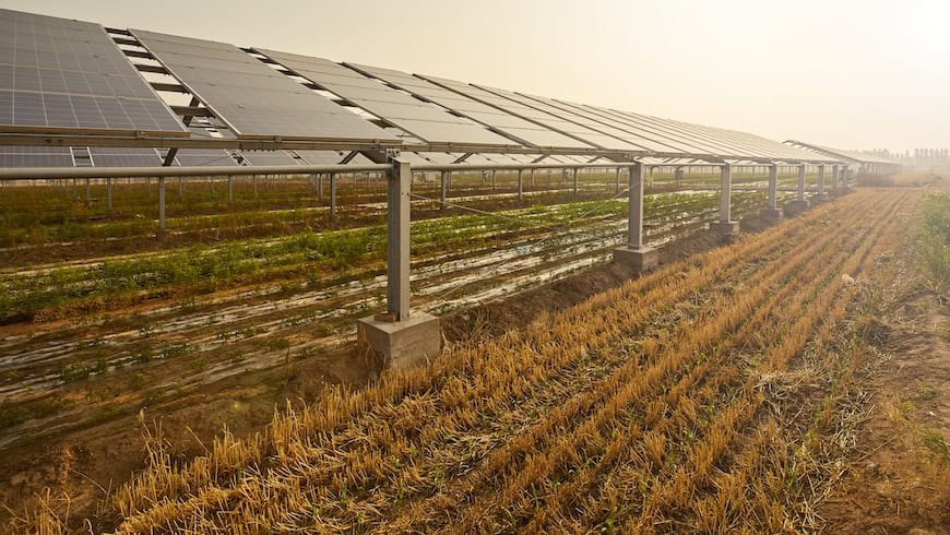 Agriphotovoltaics on farm