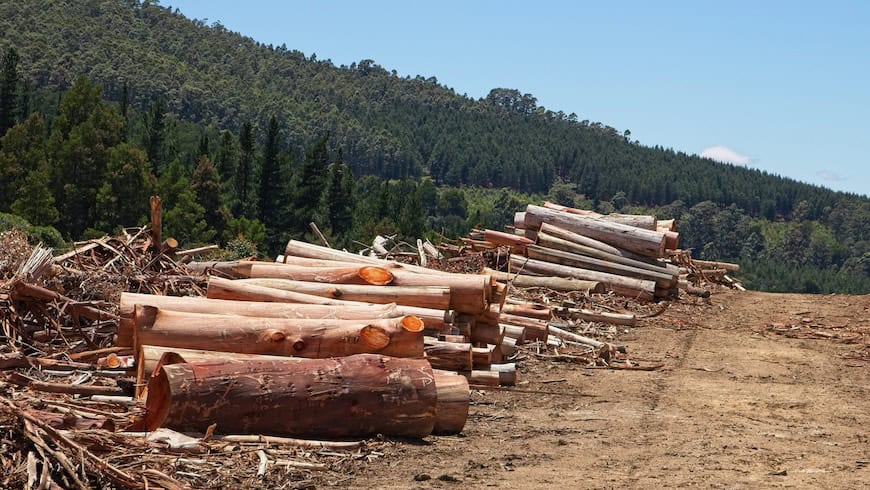 Deforestation in Africa