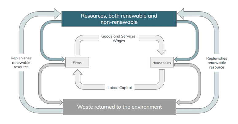 Graphic: energy used for economic activity and waste produced
