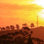Courageous Capital: How Africa Built its Own Tech Ecosystem Courageous Capital: How Africa Built its Own Tech Ecosystem