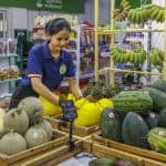 An Agricultural Value Chain Bears Fruit: How Adopting a New Crop Helped Boost the Prosperity and Climate Resilience of Cambodian Farmers