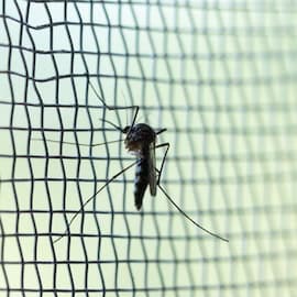 The World is Losing the Fight Against Malaria: Could Drones and AI Help Defeat the Disease Once and For All?