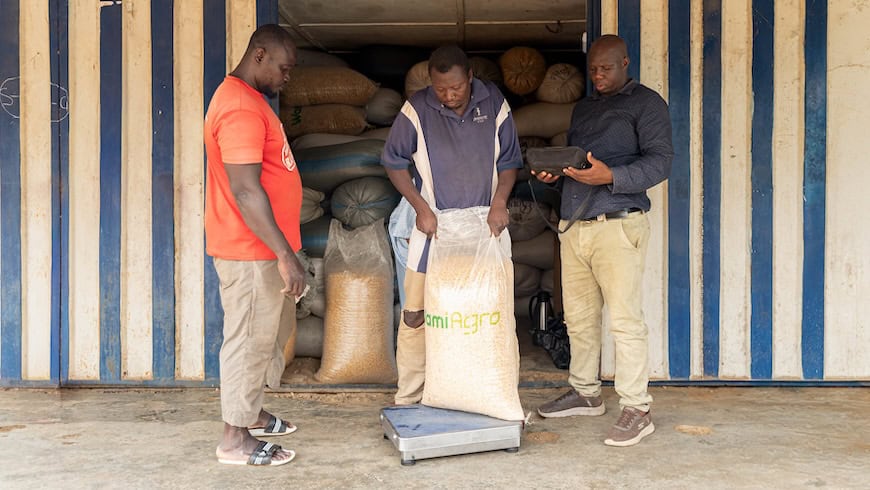 workers at agriculture company weighing produce