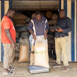workers at agriculture company weighing produce