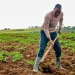Reshaping Africa’s Food Systems: Three Opportunities to Drive Sustainable, Inclusive and Scalable Impact