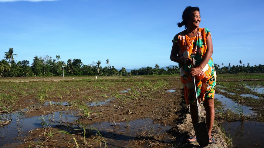 Letter from Mindanao, Part 2: Rural banking and the promise of cacao, on NextBillion.net