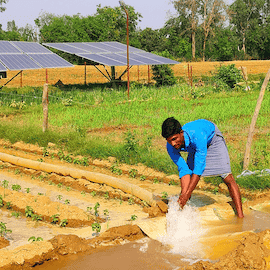 Productive Use of Energy appliances in agriculture