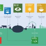 Scaling Biodigesters: How Appropriate Financing Can Help This Undervalued Technology Deliver Social and Environmental Impact