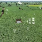 A New Green Revolution in Indian Agriculture: How Satellite Remote Sensing is Quietly Transforming the Sector