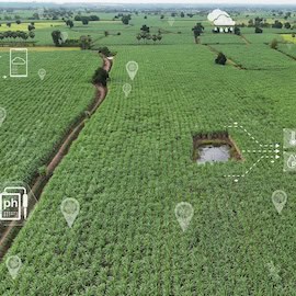 Satellite Remote Sensing in Indian Agriculture