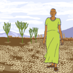 Power Problem in a Changing Climate: The Renewable Energy Movement is Shortchanging Women and the Poor Power Problem in a Changing Climate: The Renewable Energy Movement is Shortchanging Women and the Poor