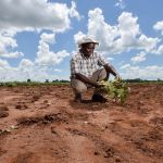 A Field-Based Perspective on Sub-Saharan Africa’s Agriculture Crisis: Exploring the Four Critical Dimensions that are Driving Food Insecurity