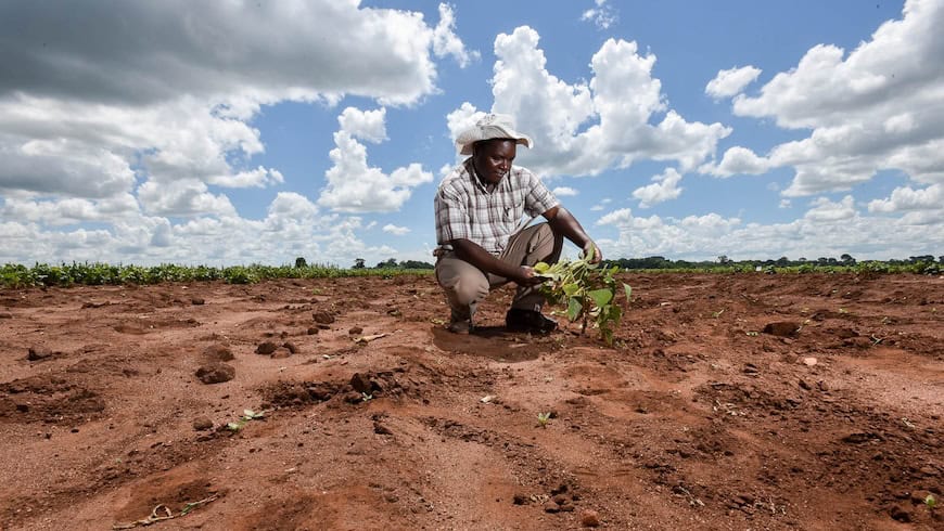 Farm in Sub-Saharan Africa