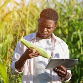 Farmer in Africa using AI