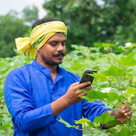 Indian farmer using AI