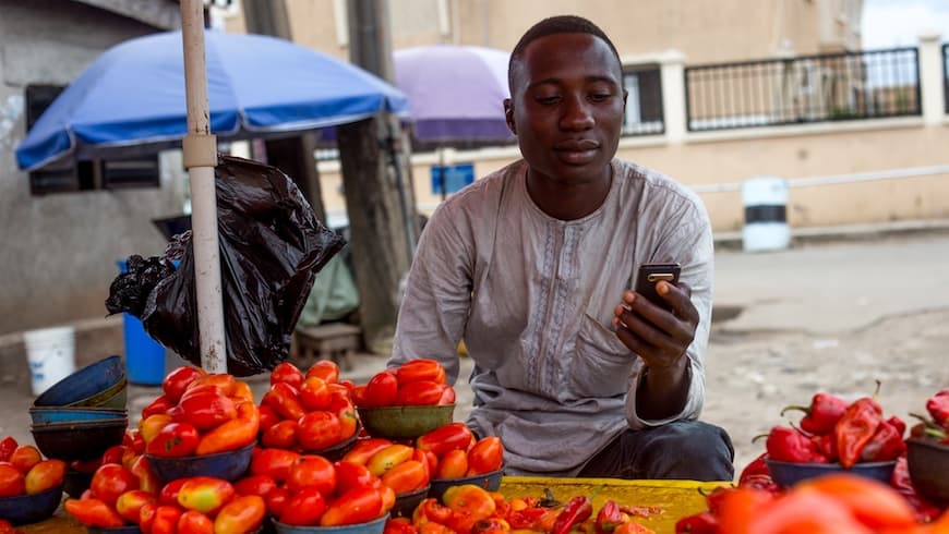 Failure to Thrive: Nigeria’s Digital Financial Services Industry is Struggling – Can These Policy Solutions Help?