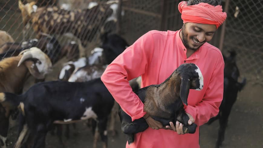 https://www.istockphoto.com/photo/indian-farmer-in-goat-dairy-farm-gm1288953593-384760573