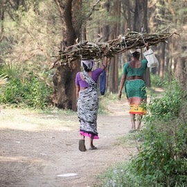 https://www.istockphoto.com/photo/dahanu-india-25-december-2021-daily-wagers-walking-through-forest-after-collecting-gm1407663219-458788762