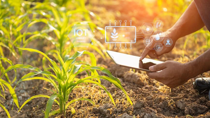 https://www.istockphoto.com/photo/farmer-using-digital-tablet-in-corn-crop-cultivated-field-with-smart-farming-gm1469639791-500783086