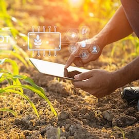 https://www.istockphoto.com/photo/farmer-using-digital-tablet-in-corn-crop-cultivated-field-with-smart-farming-gm1469639791-500783086