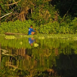 https://www.istockphoto.com/photo/a-ribereno-on-a-lagoon-in-the-peruvian-amazon-gm1723335505-541019804