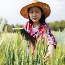 agtech / southeast asia / photo purchased on iStock - no attribution is necessary